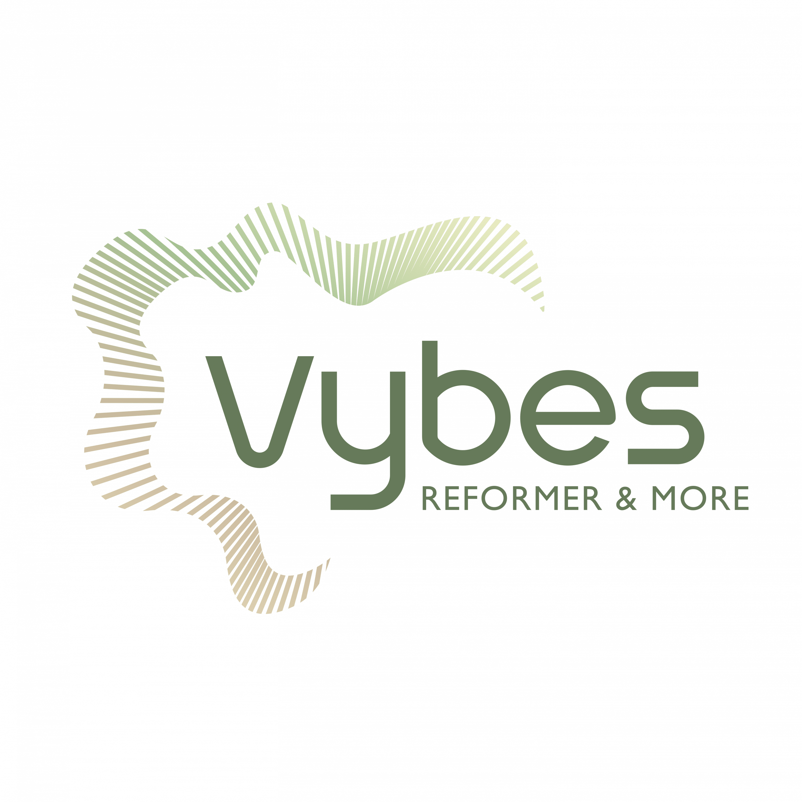 Logo Vybes